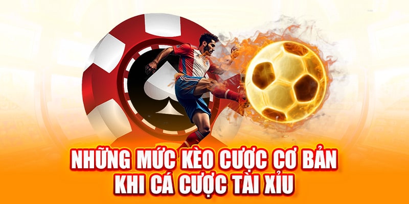 cách đọc kèo tài xỉu