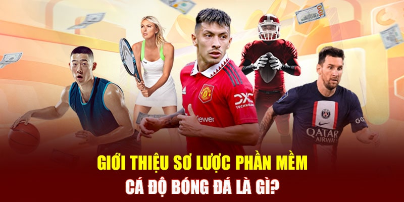 phần mềm cá độ bóng đá