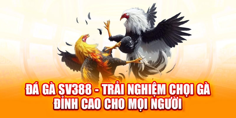 đá gà sv388